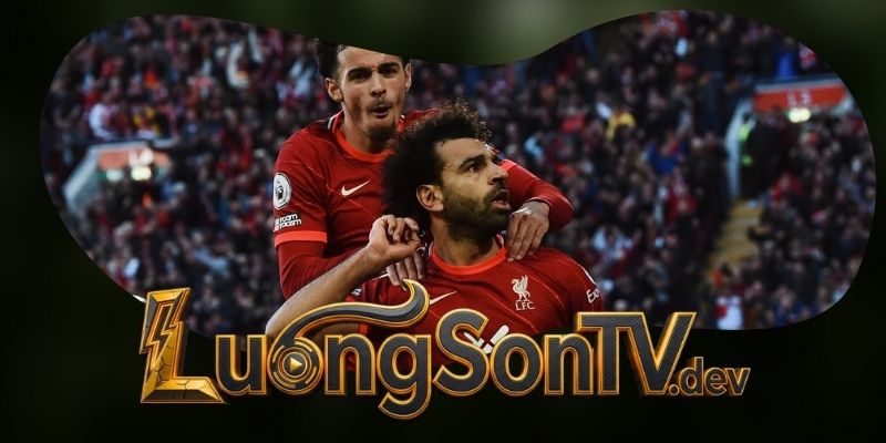 Tổng hợp dự đoán kèo trận Brentford vs Liverpool ngày 17/10